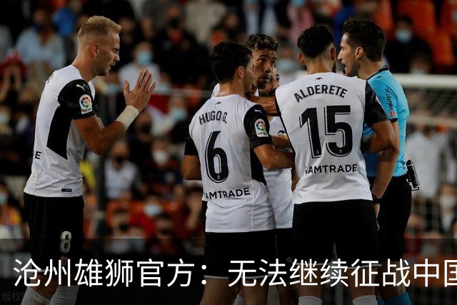 沧州雄狮官方：无法继续征战中国足球职业联赛